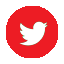 twitter_icon